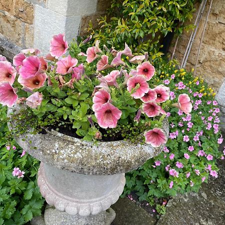 Ellesmere House Castle Cary Bagian luar foto