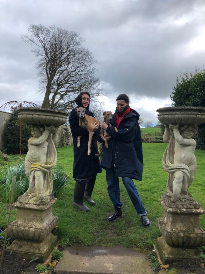 Ellesmere House Castle Cary Bagian luar foto